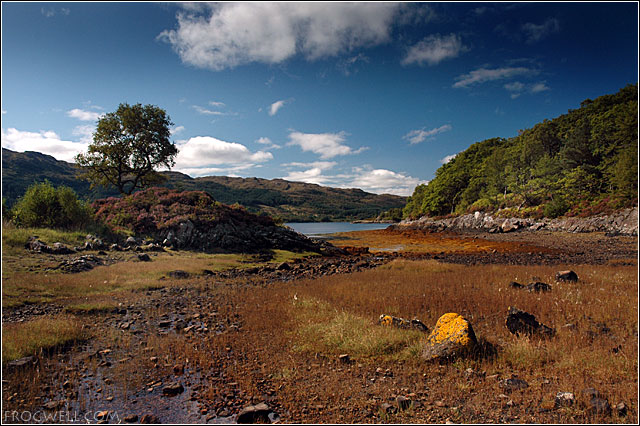 Shores of Loch Sunart